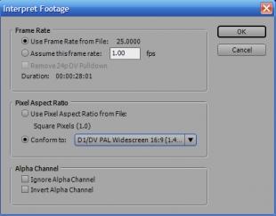 Adobe Premiere Interpret Footage Window